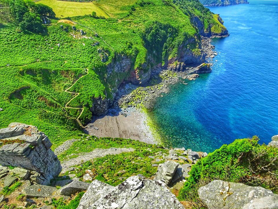 Devon Days #LoveDevon tweet media