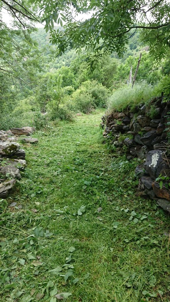 pnaltpirineu's tweet photo. Enguany les pluges han fet crèixer de valent l'herba. Seguim amb el desbrossament i remarcatge de la xarxa de camins senyalitzats del @pnaltpirineu al #PallarsSobirà a través de l'empresa #SEFOCAT. El darrer tram fet Lleret - Lladorre - Boldís #vallsdecardos. https://t.co/Faxif5FfJG