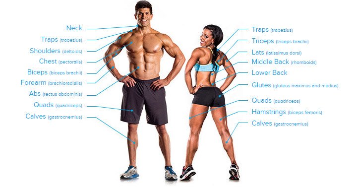 eHGHCom's tweet photo. Its not just about Bicep-Building
From Head to Toe a lot of hard work needs to be done!
#anaerobic #aerobic #exercise #Training #dumbbell #homegym #workouttips #workout #benchtips #fitness #fitnessroutine #gym #gymmusic #abs #6pack #8pack #bodybuiding #muscles #musclebuilding https://t.co/lAaJ5IdI9A