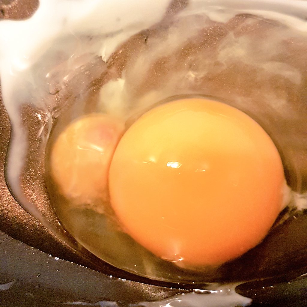 ChristianTriFit's tweet photo. Go to work on an egg they said, it'll be great they said. Maybe not this one though. #MondayMotivation #MondayBlues #eggs #breakfast #fitness #Diet #Protein #carbs #HappyMonday https://t.co/QayjE5EAeA