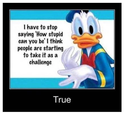 D. McL. (@debhasnocontrol) on Twitter photo 