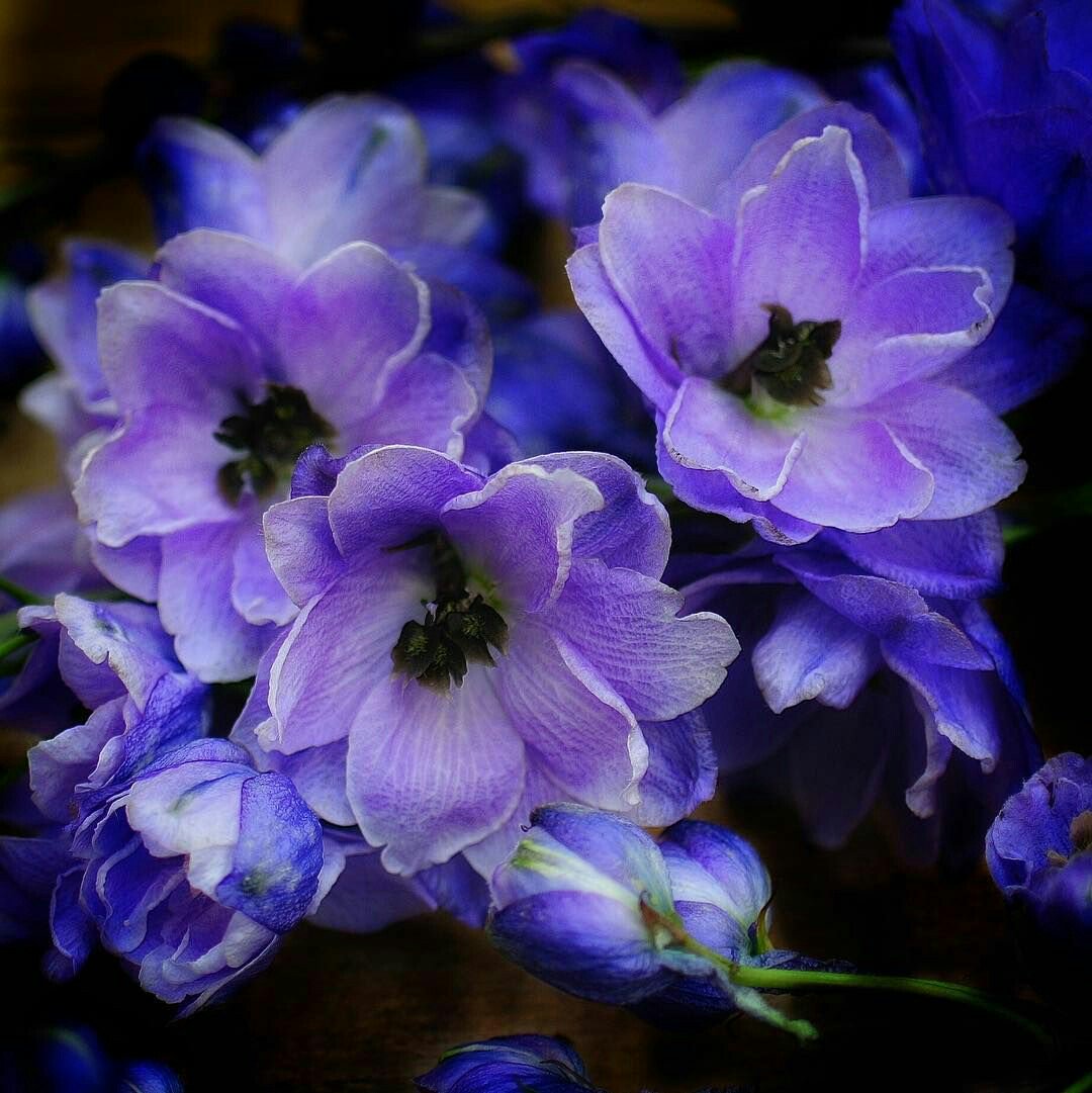 hseen53974223's tweet photo. @ZEYNAZERDA  https://t.co/E1LpyCY5Gt