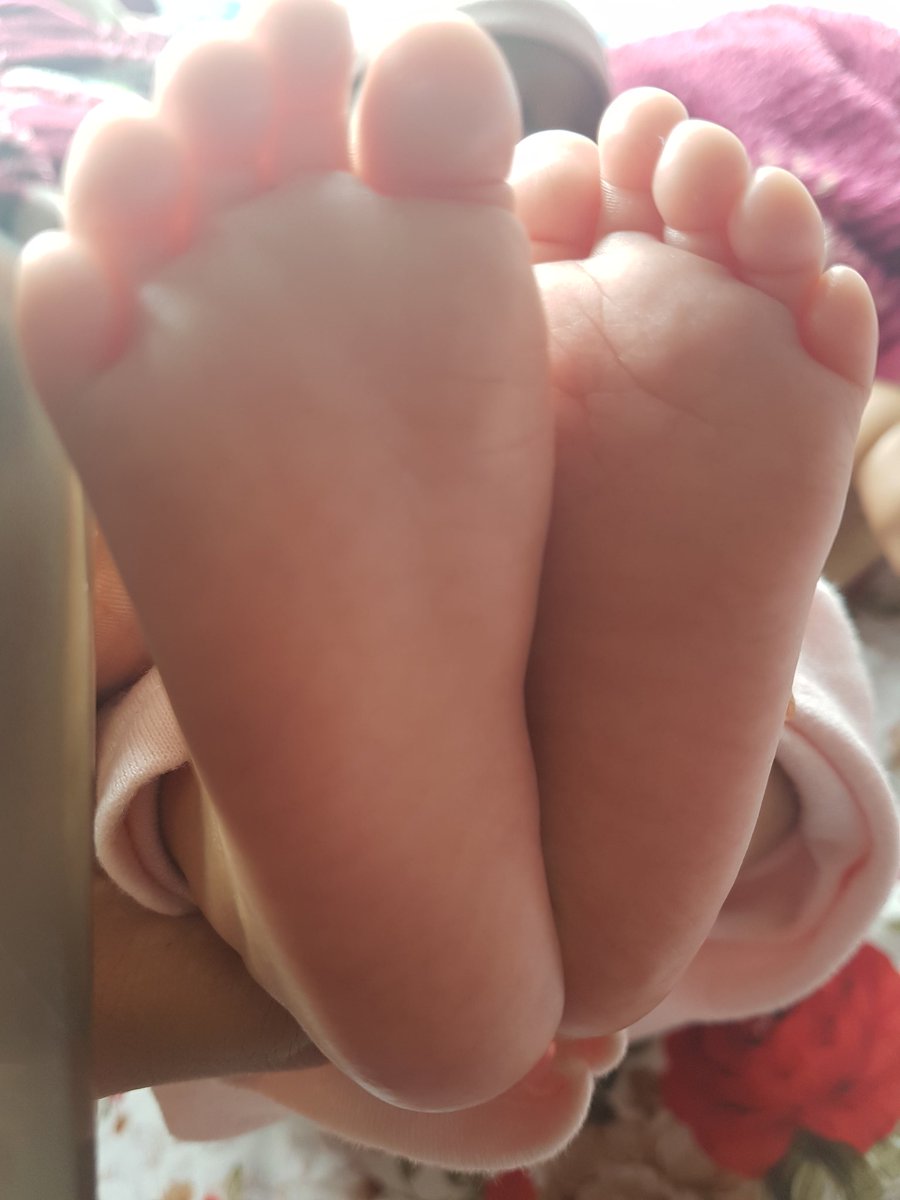 ma_srima's tweet photo. माया त यस्तो होस्
छोयर कहिलै नपुगोस्
छोइयर कहिलै नअघाओस्
#newborn #now #turn #twomonthold https://t.co/kr8lC5Yt4H