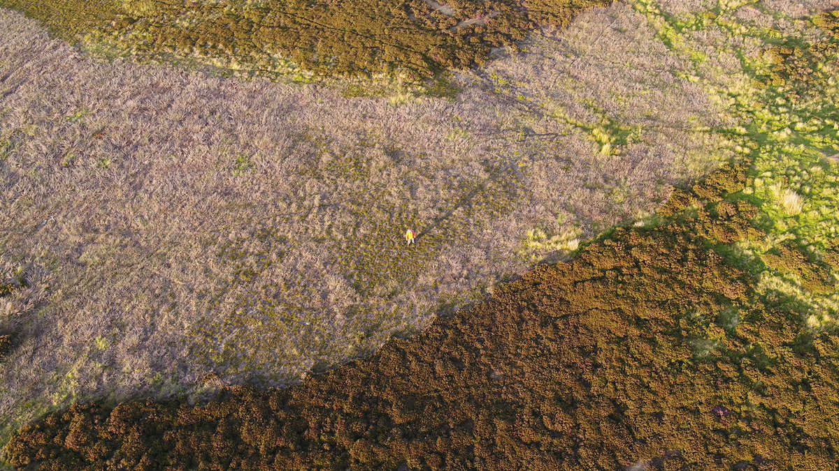 DanRavenEllison's tweet photo. Continuing our journey south, we've visited 18 different kinds of land so far. About 7% of Britain is covered by moors and heathland. #ReimagineBritain #MicroExpedition https://t.co/u30ND51YDl