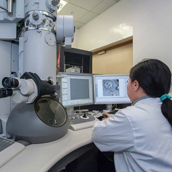 Tradmedtalks's tweet image. Advances in #MedicalImagingTechnology play a vital role in making as they help confirm or reject the diagnosticians #healthtech #healthcare #hospitalmanagment #healthacaremanagment.
To know more about our conference please visit our website:…ital-management.healthconferences.org