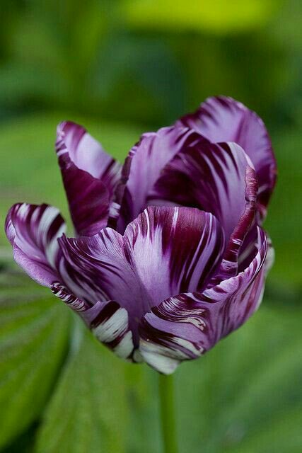 hseen53974223's tweet photo. @ZEYNAZERDA  https://t.co/hF1UI5J8aJ