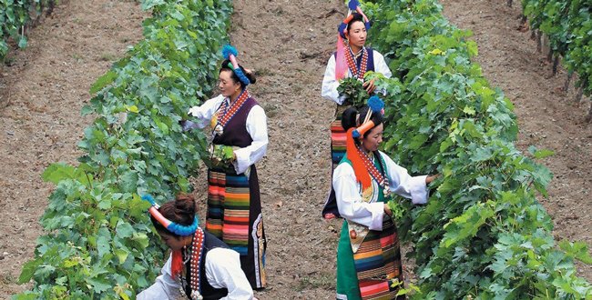 🔟 : [#Interview] Découvrez la création du Domaine Ao Yun en Chine sur le toit du monde pour le compte de Moet Hennessy 🇨🇳

✳️ bit.ly/2MWDAgX
#WineMorning 🍷⚡️

🔗 @Figaro_Avis_Vin <a href="/MoetHennessy/">Moët Hennessy</a> <a href="/LVMH/">LVMH</a> #chine #vin #vignoble