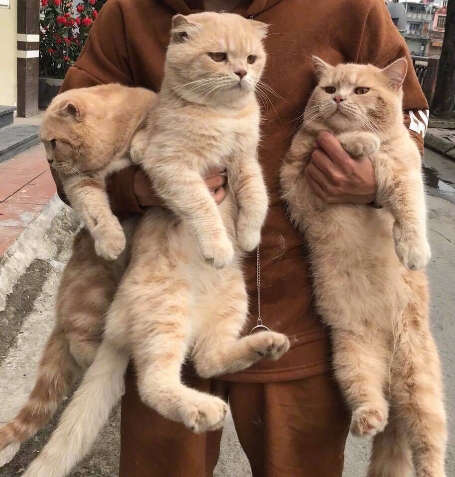 Why they are so unhappy ?