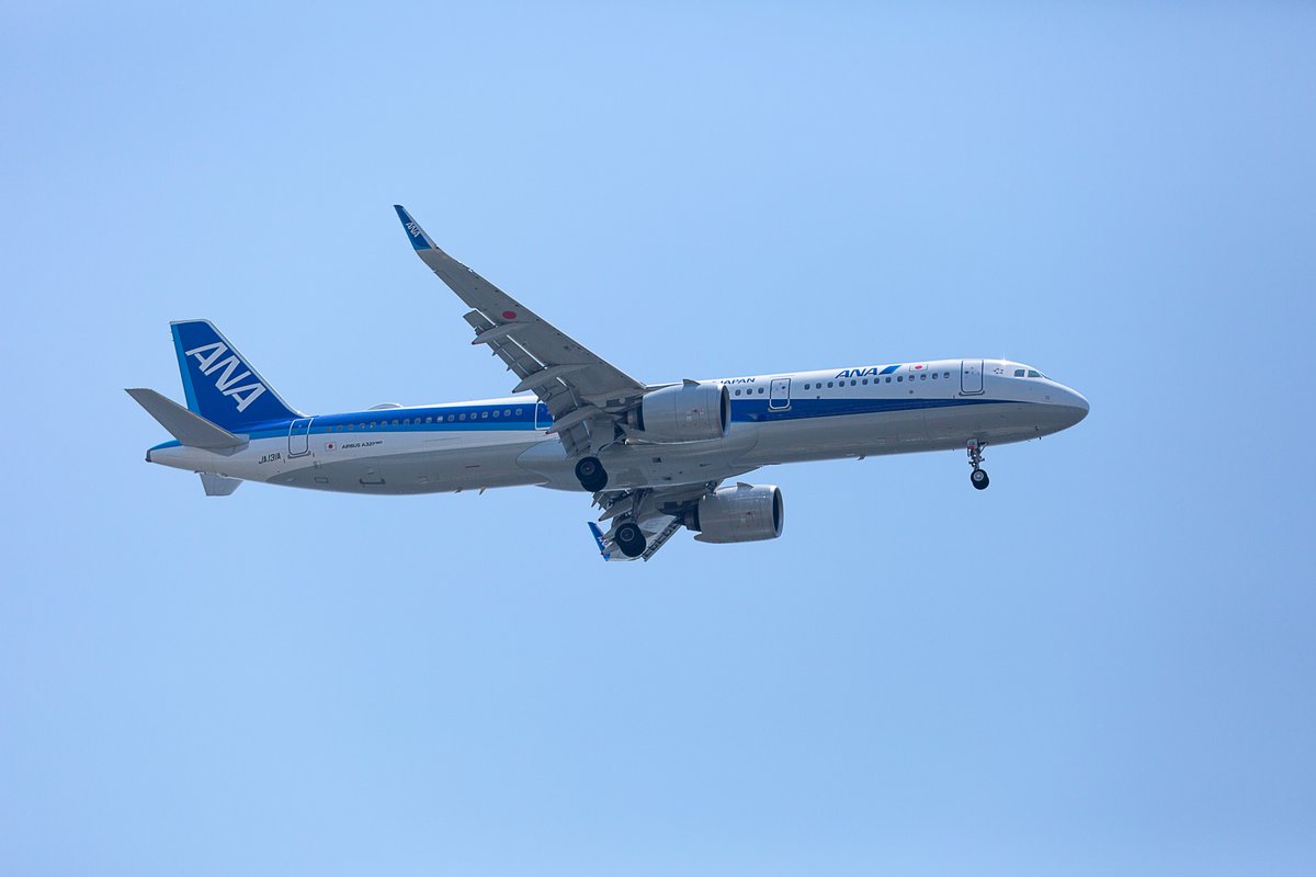 jun_photolife's tweet photo. 暑いですね。。。
ねこさんも暑かったようです。。。
今日は飛行機が飛んでいました。。。
いっぱい写真が撮れて楽しかったです。。。

小学生の日記みたいでごめんなさい

#photography https://t.co/NiLoTunxFq