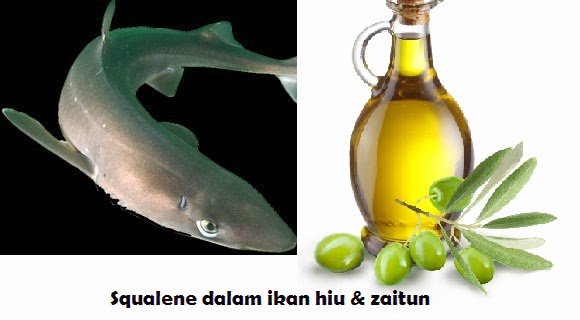 Kanker_Terapi's tweet photo. Perbandingan kandungan squalene antara minyak ikan hiu botol &amp; Minyak Zaitun https://t.co/VGrSsYIM98 https://t.co/IawsnXwj9N