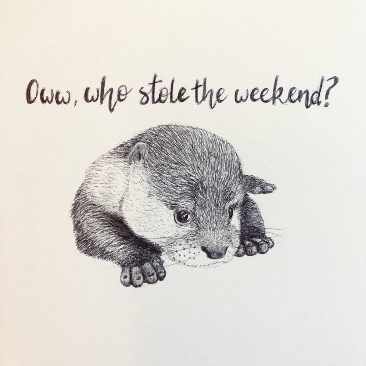 TCArt0's tweet photo. Well, it went somewhere...!
.
.
#art #biroart #otter #doodle #traindoodle #sadface #weekend #mondayblues #cute #funny https://t.co/YFo2NdcpXX