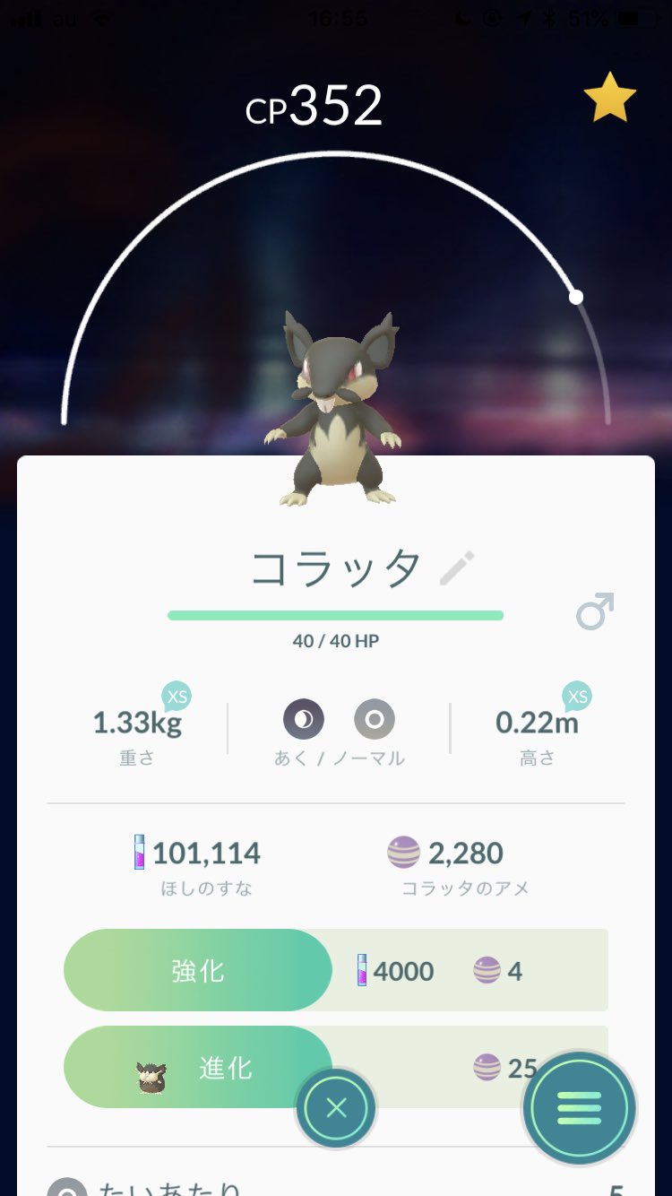 やまだ Yamada בטוויטר アローラの小さいコラッタ メダルのカウント進むのか交換試してみます あと今日早い時間に公開したかったポケgo動画 うっかり設定し忘れましたごめんなさい汗 夜公開しますのでお待ちを やまだ Yamada בטוויטר アローラの小さいコラッタ メダルのカウント進むのか交換試してみます あと今日早い時間に公開したかったポケgo動画 うっかり設定し忘れましたごめんなさい汗 夜公開しますのでお待ちを