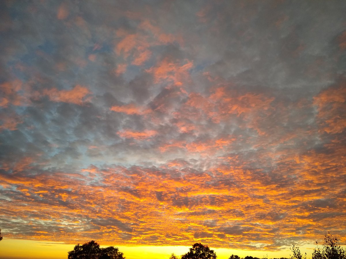 flixton7's tweet photo. Sky over Westleton Heath pre-churrtime Sunday evening https://t.co/Jibvw5eNix
