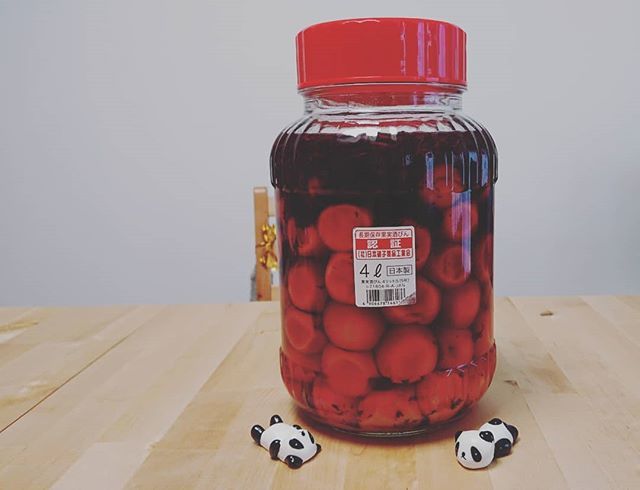 Udaryyyy 梅干し瓶に赤紫蘇を入れました 今回は赤紫蘇は市販の入れるだけのものにしました 来年は赤紫蘇 揉んで入れたいなぁ 梅干し楽しみにしてますが 食べれるようになるのは年末頃かなあとおもってます 梅仕事18 梅仕事 手作り梅干し 赤紫蘇
