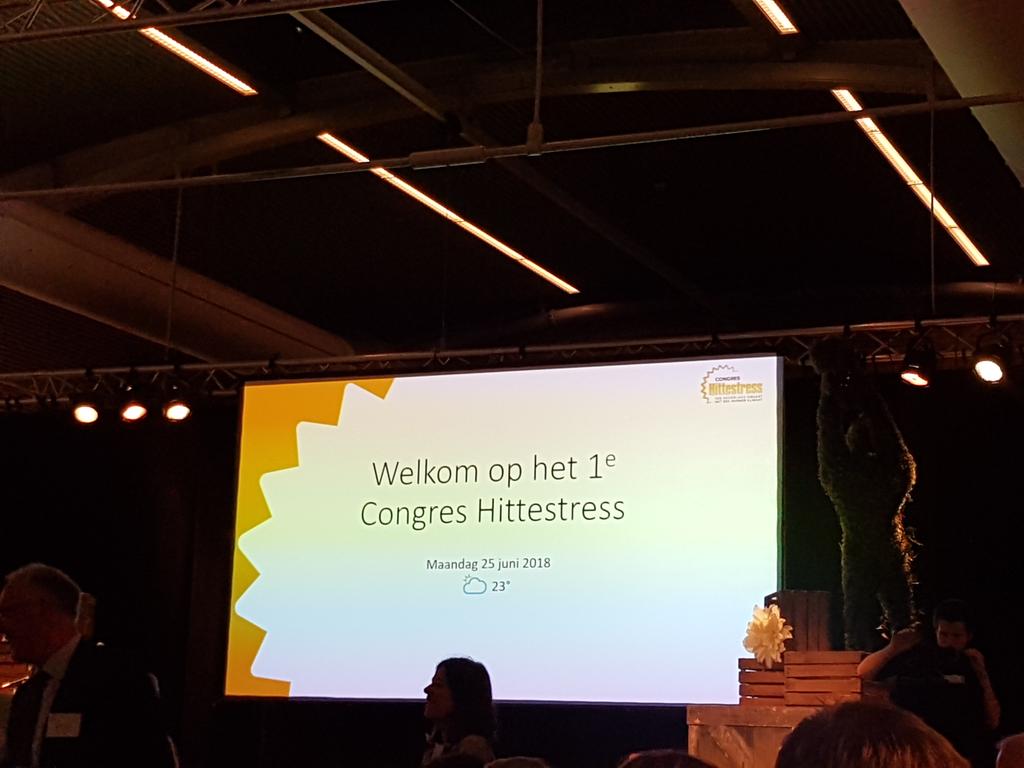 Stichting Steenbreek tweet media