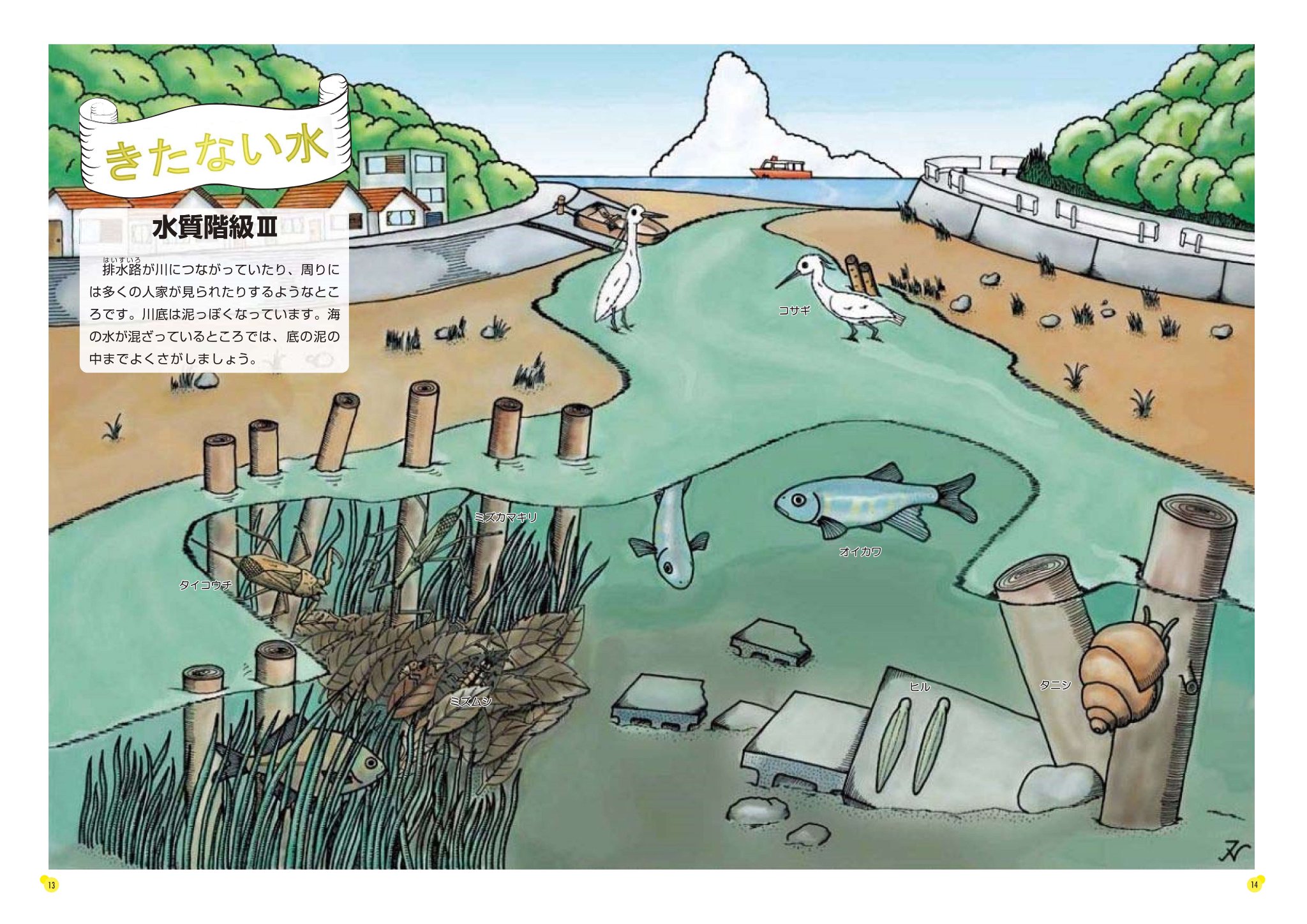 この川にこんな『いのち』が 能登の河川の水生生物 - 生物学