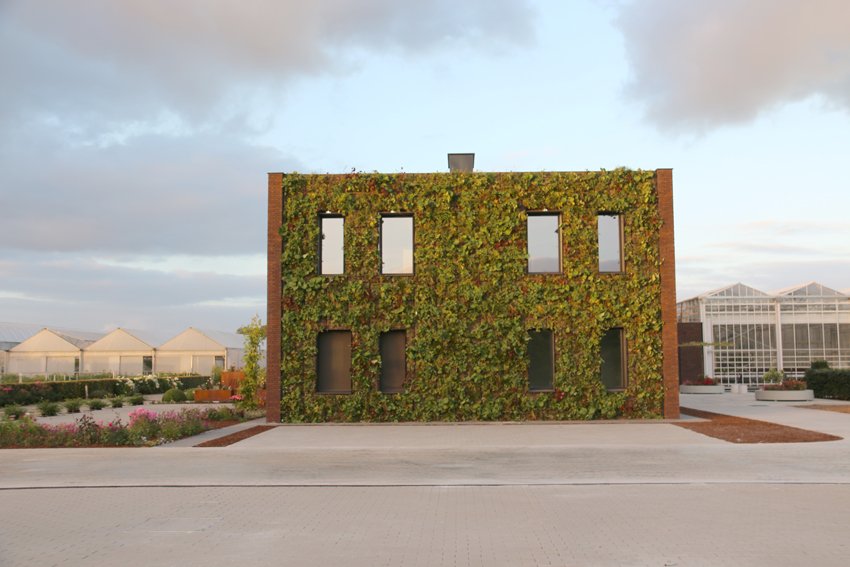 Viaverda_be's tweet image. Proefcentrum voor Sierteelt opent nieuwe proefserres en groene kantoren in @Destelbergen. Meer info op lnkd.in/ebbzU2u   

@WoordvoerderLV @oost_vlaanderen @boerenbond @JokeSchauvliege⁩ @sonjadebecker @JanBriersGouv  #pcsierteelt