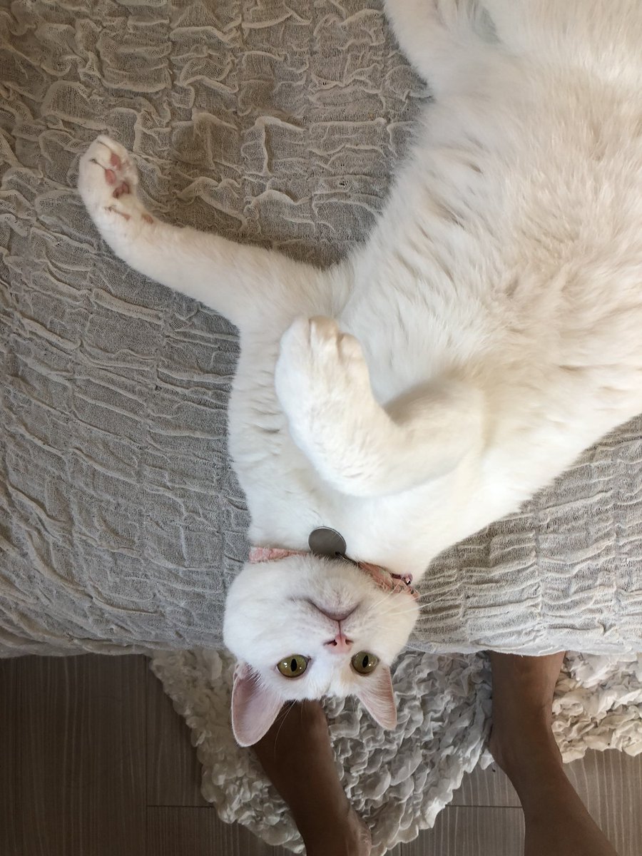 オラオラ系女子