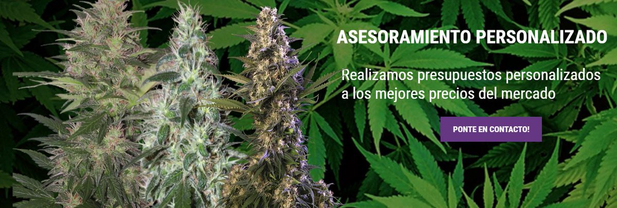 GreenMoneyGrowS's tweet photo. 🎉🎈👏 COMENZAMOS LA SEMANA CON BUENAS NOTICIAS 👏🎈🎉
Visitanos en https://t.co/tbFroRCaIn y podrás solicitar tu presupuesto a medida y lo mejor... AL MEJOR PRECIO DEL MERCADO!!!
#greenmoney #bloggreenmoney #growshop #growshopgranada #cultivavida #cultivaconprofesionales https://t.co/wTSivECo9t