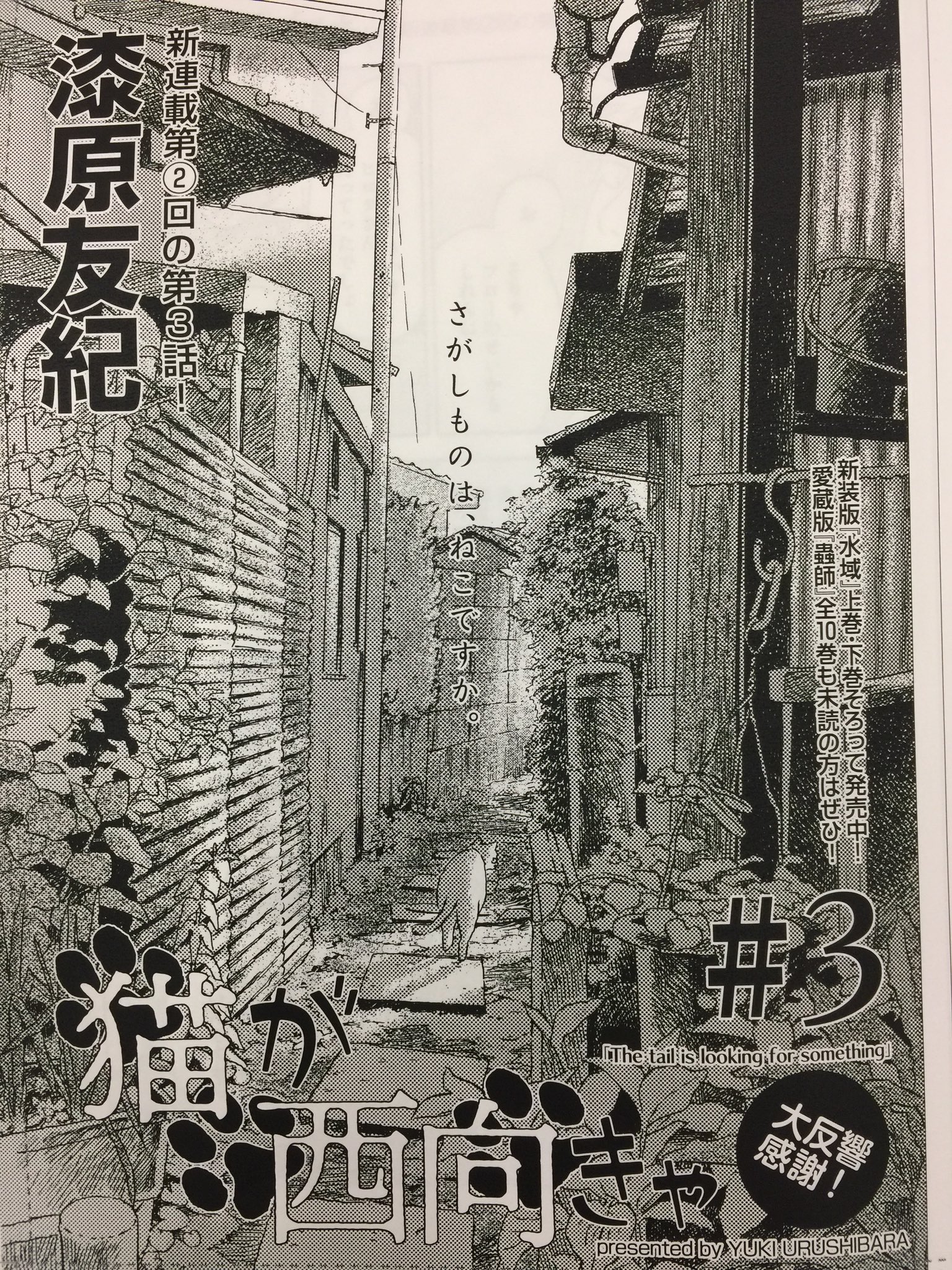 漆原友紀 Official 猫が西向きゃ 発売中 Pa Twitter 猫が西向きゃ 連載第2回の第3話 ややこしい が載っているアフタヌーン8月号 発売中なのです 今回のサブタイトルは The Tail Is Looking For Something ちまちゃんと 漆原友紀 Official 猫が西向きゃ 発売中 Pa Twitter 猫が西向きゃ 連載第2回の第3話 ややこしい が載っているアフタヌーン8月号 発売中なのです 今回のサブタイトルは The Tail Is Looking For Something ちまちゃんと
