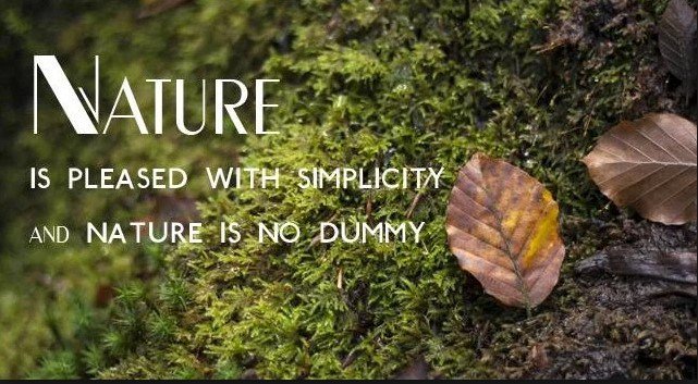 Wordtype2's tweet image. 