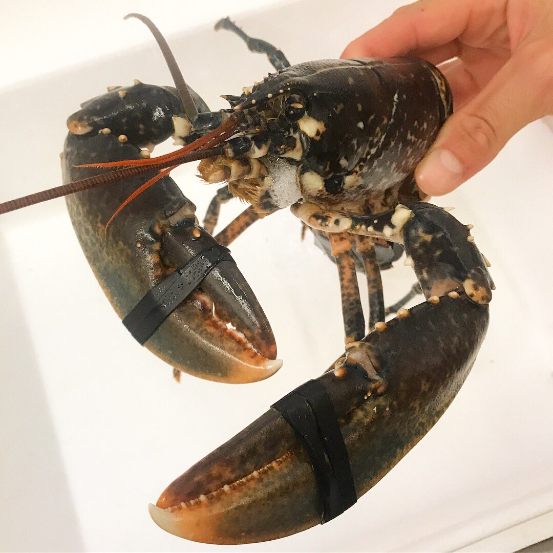 Surf and Turf Tuesday back next week!! Book Now 01284 762119 #surfandturf <a href="/ourburysteds/">Our Bury St Edmunds</a>