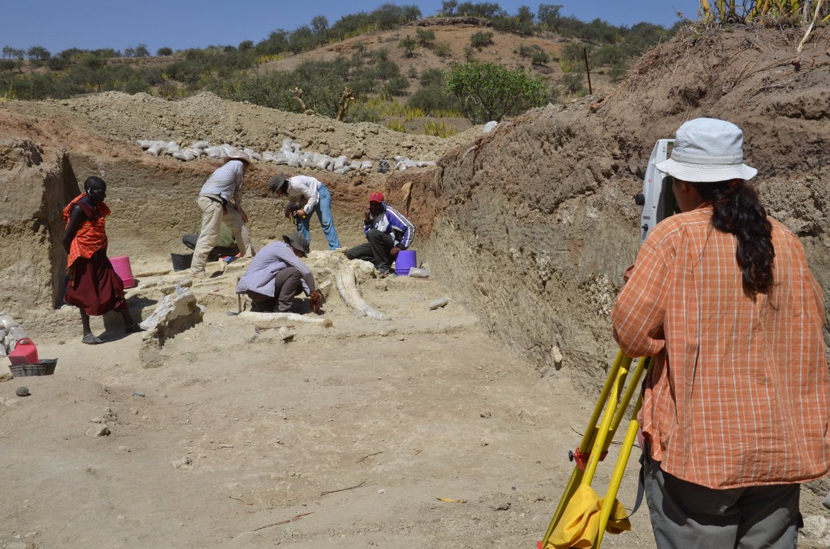 CENIEH's tweet photo. El CENIEH ha comenzado la temporada alta de Campañas de excavación. Este verano estaremos en #Ambrona #Atapuerca #AinHanech #Bolomor #Carvalhas #Guantes #Teixoneres, #Olduvai, #Orce, #Tamajón #Treviño ... https://t.co/S5WjY9pf93