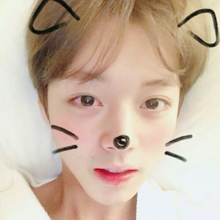 Cheese66582173's tweet photo. #NewProfilePic https://t.co/vSHISqXrlr