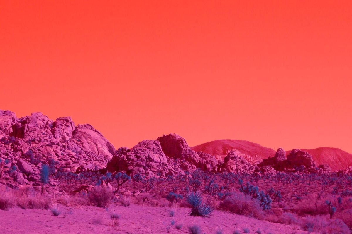 fubiz's tweet photo. Surreal Californian Landscapes in Infrared
https://t.co/cwUfwV3wMD https://t.co/1HFd6H56Q9