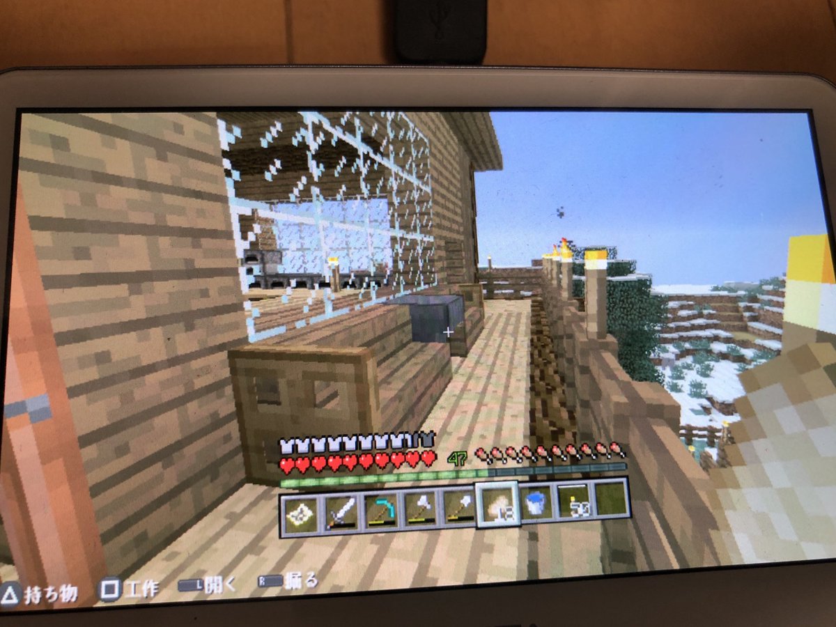 マイクラvita