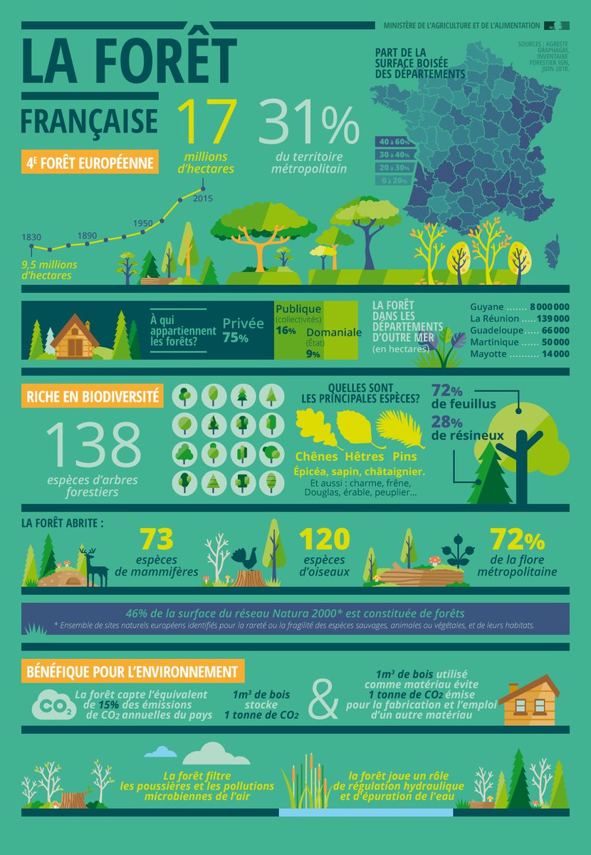 FransylvaFrance's tweet photo. En image, quelques chiffres sur la forêt française,  4 ème forêt européenne https://t.co/HqrQ9JaXwT