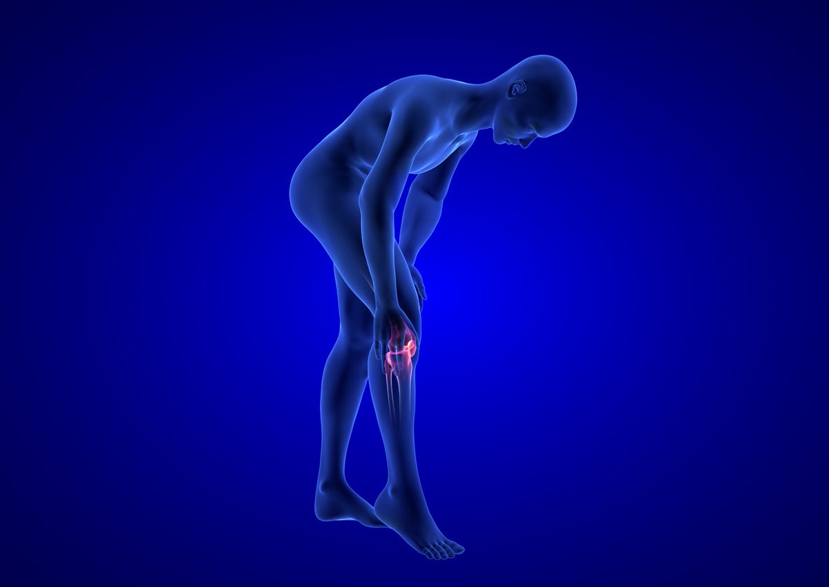 naturlider's tweet photo. ¿Sabías que el 68% de los españoles con edades comprendidas entre los 35 y 65 años ha tenido dolor articular en el último año, según un estudio de la OAFI? Descubre los efectos y propiedades del #FORTIGEL para una mejora de la movilidad. https://t.co/SxRE4NifuR https://t.co/u47Vc5DsUD