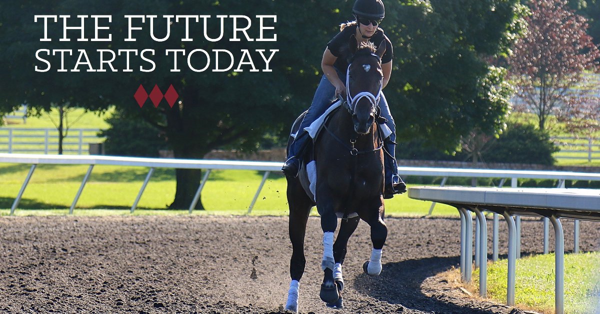 Sagamore Farm tweet media