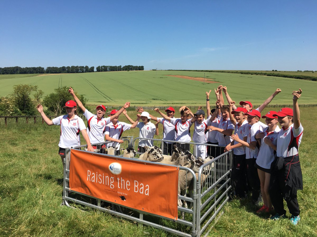ChafynGrove's tweet photo. @ChafynGrove  Our Yr 8 had a fab time @Waves_Training.  Team building and then the children had to try to herd ten sheep into a small pen.  Many thanks to the Whitings for giving the children this fantastic opportunity – they learnt a lot about what makes teams work! https://t.co/rCoZZnSo9D