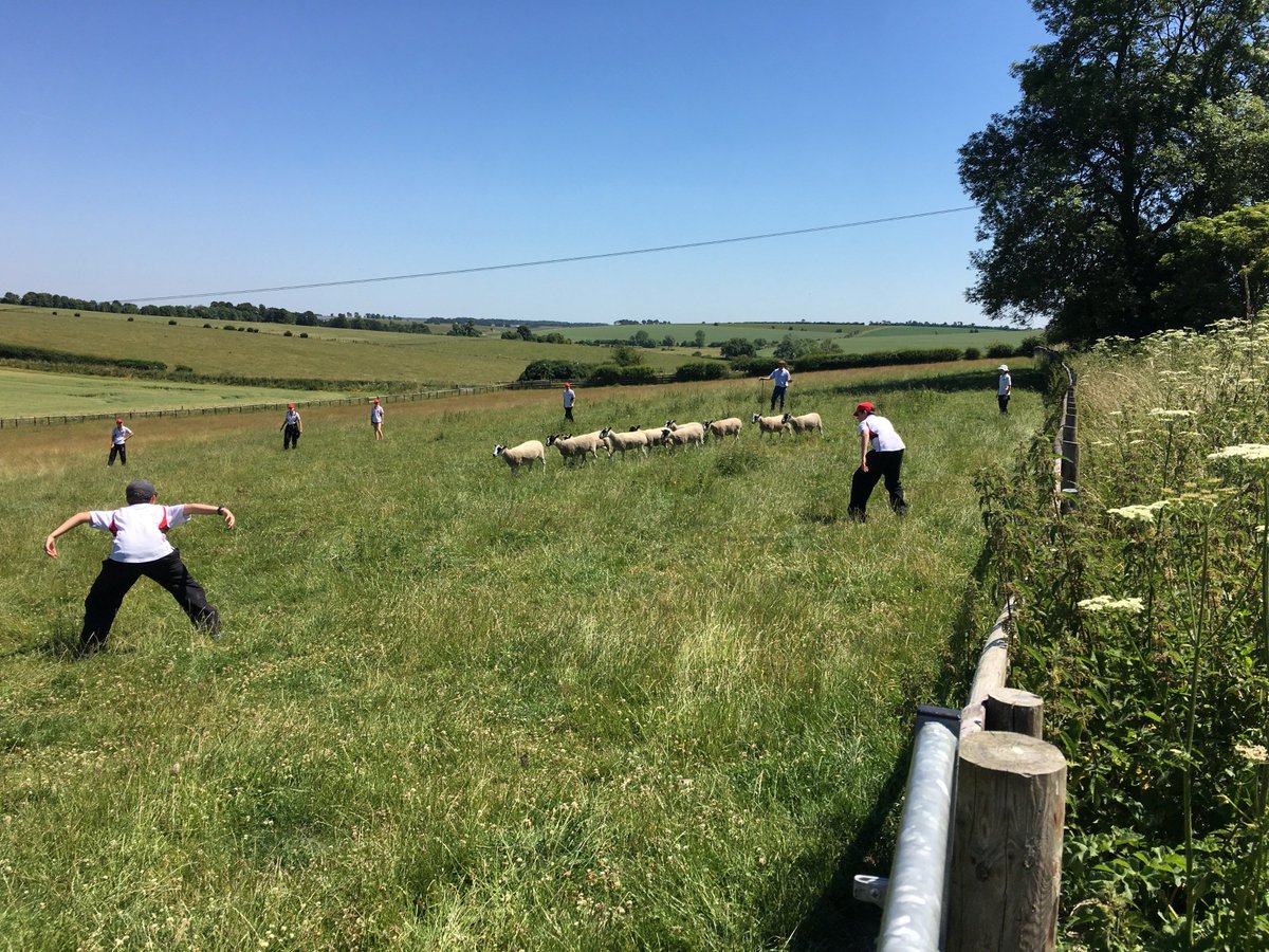 ChafynGrove's tweet photo. @ChafynGrove  Our Yr 8 had a fab time @Waves_Training.  Team building and then the children had to try to herd ten sheep into a small pen.  Many thanks to the Whitings for giving the children this fantastic opportunity – they learnt a lot about what makes teams work! https://t.co/rCoZZnSo9D