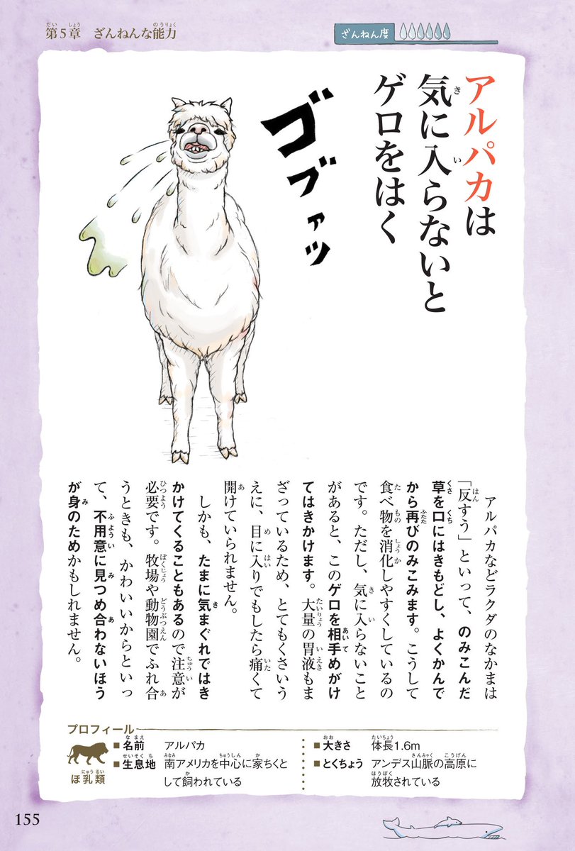 Buzzfeed Japan ねぇねぇ知ってる 笑いが止まらない生き物の豆知識10選https T Co F3n8aqzohw