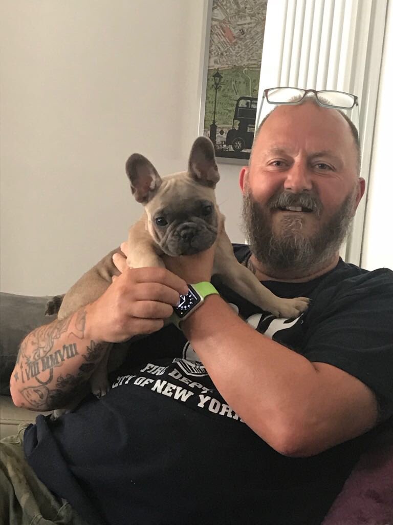 Diggler630's tweet photo. Babysitting duties #diggler630 style! Winston &amp; Loki having a afternoon play! #diggler630 #pipistrelles #stellapoo https://t.co/RmmlCdEtL0