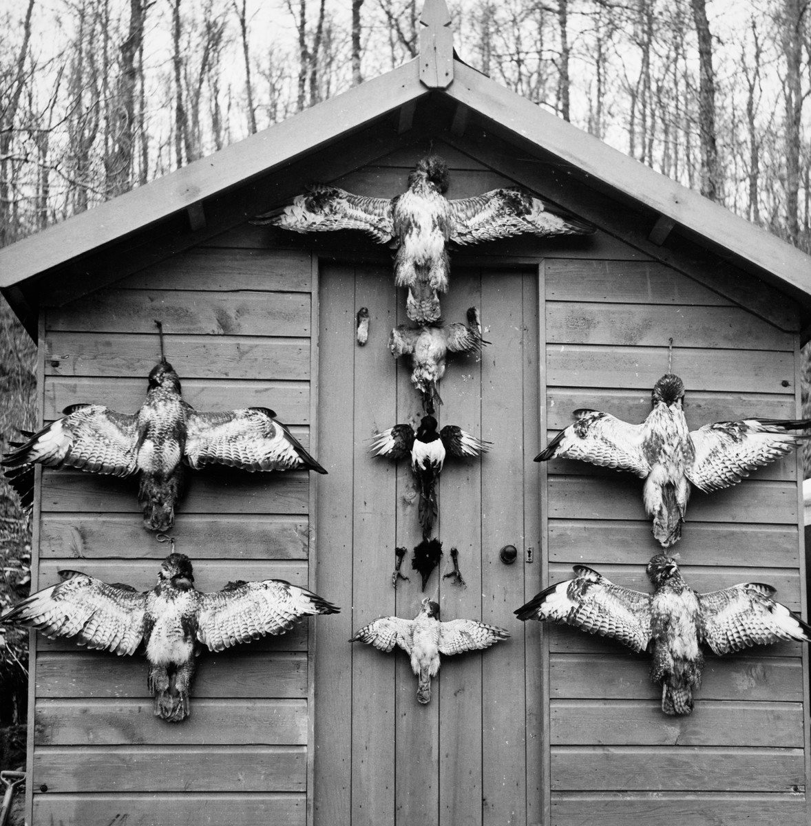 The Museum Of English Rural Life On Twitter This Is A - 