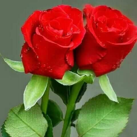am3r90's tweet photo. @monaahmed5555  https://t.co/IVUDgsVTq7