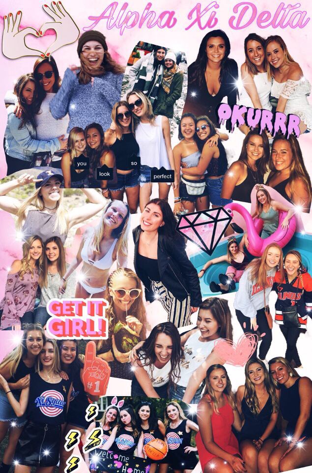 Alpha Xi Delta-UIUC tweet media