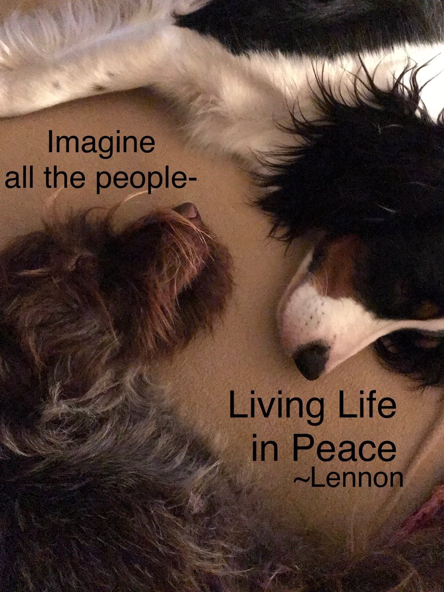 OneGrtLife's tweet photo. Dreams of a New Day... 
it’s Your #OneGR8Life - Dream it, Create it, Live it! https://t.co/m24hj65vuK