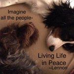 Photo by OneGR8Life.com (@OneGrtLife)