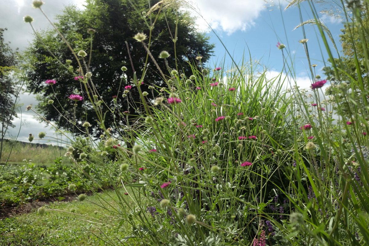 HotelSturm's tweet photo. Ein erholsamer Sommertraum mitten in der Natur. 

#biohotelsturm #biohotels #mehralshotel #rhön #bio #nachhaltigreisen #abschalten #entspannen #sommer #sonne #biourlaub #wellness #fernweh #naturpur #relax #massage #ruhe #welovebio #qualitytime #luxury https://t.co/lyu2AYzHXo