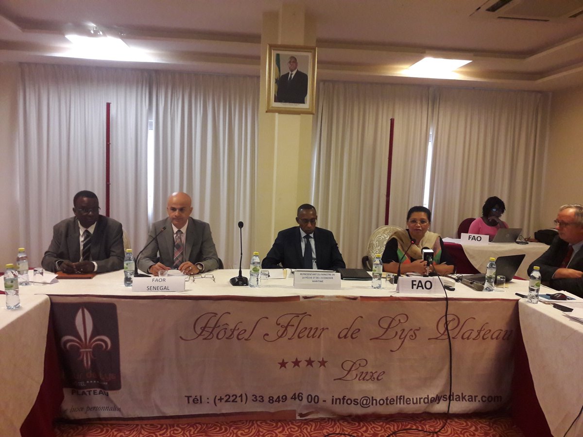 RedaLebtahi's tweet photo. #FAOsenegal Atelier regional de formation sur la conduite de l'aquaculture comme activité commerciale (25-29 juin 2018). Developper le sens des affaires en aquaculture et faciliter la transformation de l'aquaculture en un secteur économiquement dynamique et durable. https://t.co/6FoIBfKEXX