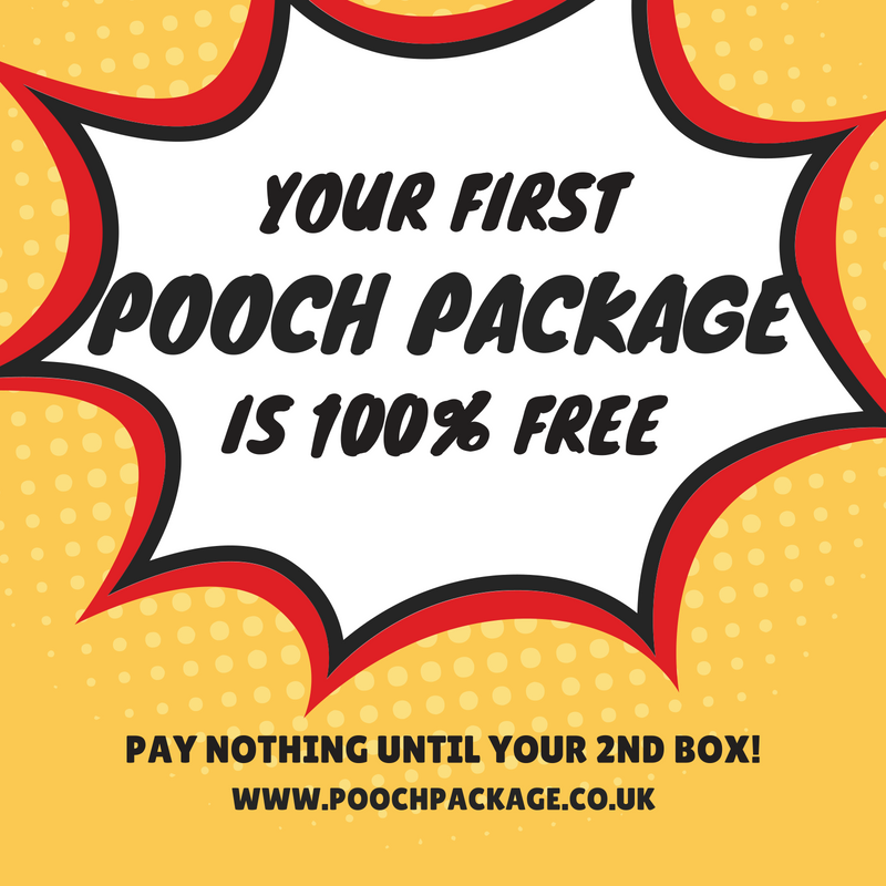 PoochPackageUK's tweet photo. A free Pooch Package?! It's true! Subscribe today and pay absolutely nothing until your 2nd box https://t.co/2vDd2OrkRz 

#poochpackage #subscriptionbox #dogsubscriptionbox #DogLover #DogsOfTwitter #UKSubbox #SmallBiz #RT #Dog https://t.co/2hNI39U347