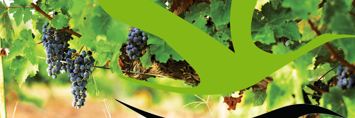 AlimentosdeExtr's tweet photo. 10-15/09 #Mérida ¿Te interesa el mercado brasileño?, ¿quieres aumentar exportaciones?, ¿reunirte con importadores de la cadena de alimentación #Centerbox? ¡Muestra tu oferta comercial en Mesa Productos @AlimentosdeExtr para el mercado de #Brasil! https://t.co/CKctoChPNM @e_avante https://t.co/DcEkwXs1W3