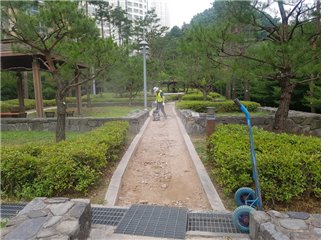 노희경 tweet media