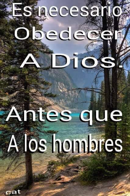 ArriojaTorre's tweet photo. https://t.co/x5U98KrYIF