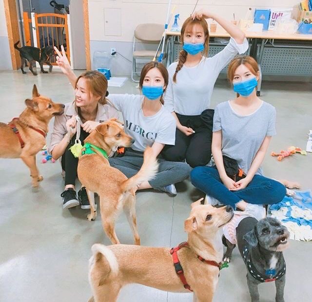 illegirlhayoung's tweet photo. #3YearsWithPlayback
Thank you for making my life happier.
Thank you for always being there for Replays.
Thank you for everything!
We love you❤️ https://t.co/O51LQFti6w