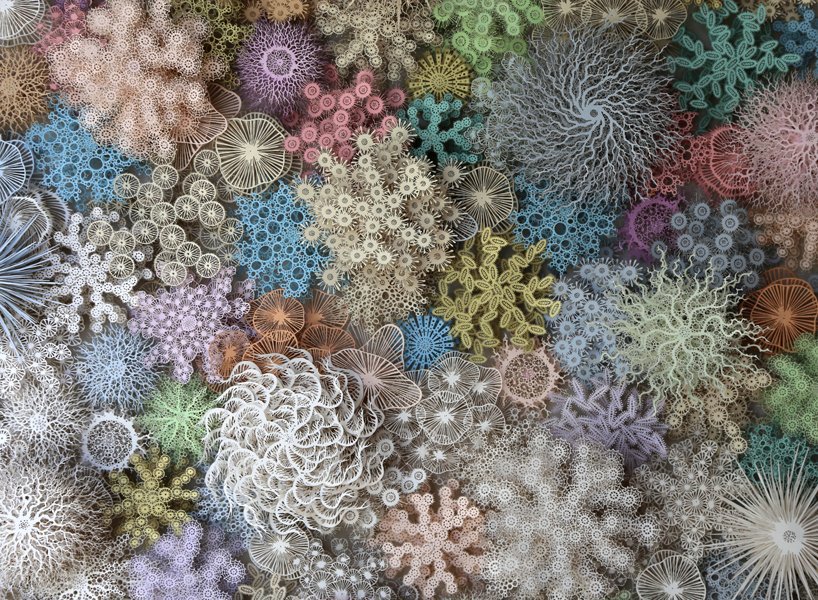 DeanAuthor's tweet photo. intricate paper-cut collages by Rogan Brown, inspired by parallels between the human microbiome &amp; coral reefs...

+ more at #artist website https://t.co/Vv72iimWZe

pics via: https://t.co/AmTgQM12B3 https://t.co/nJi3sKA8SB